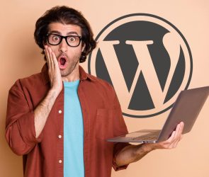 10Web WordPress Photo Gallery Plugin Vulnerability