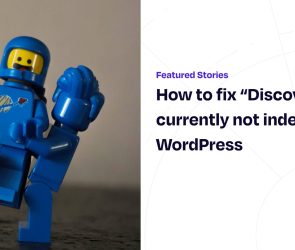 How to fix “Discovered – currently not indexed” on WordPress