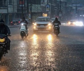 Trusted Source Badge