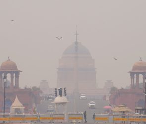 Trusted Source Badge