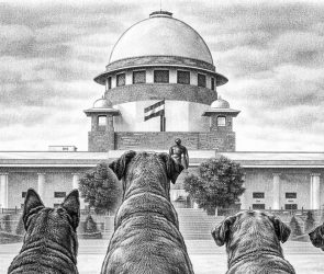 Trusted Source Badge