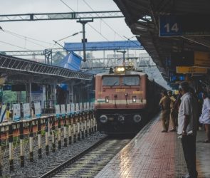 Trusted Source Badge