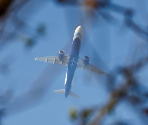 Trusted Source Badge