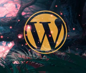 NotificationX WordPress WooCommerce Plugin Vulnerabilities Impact 40k Sites