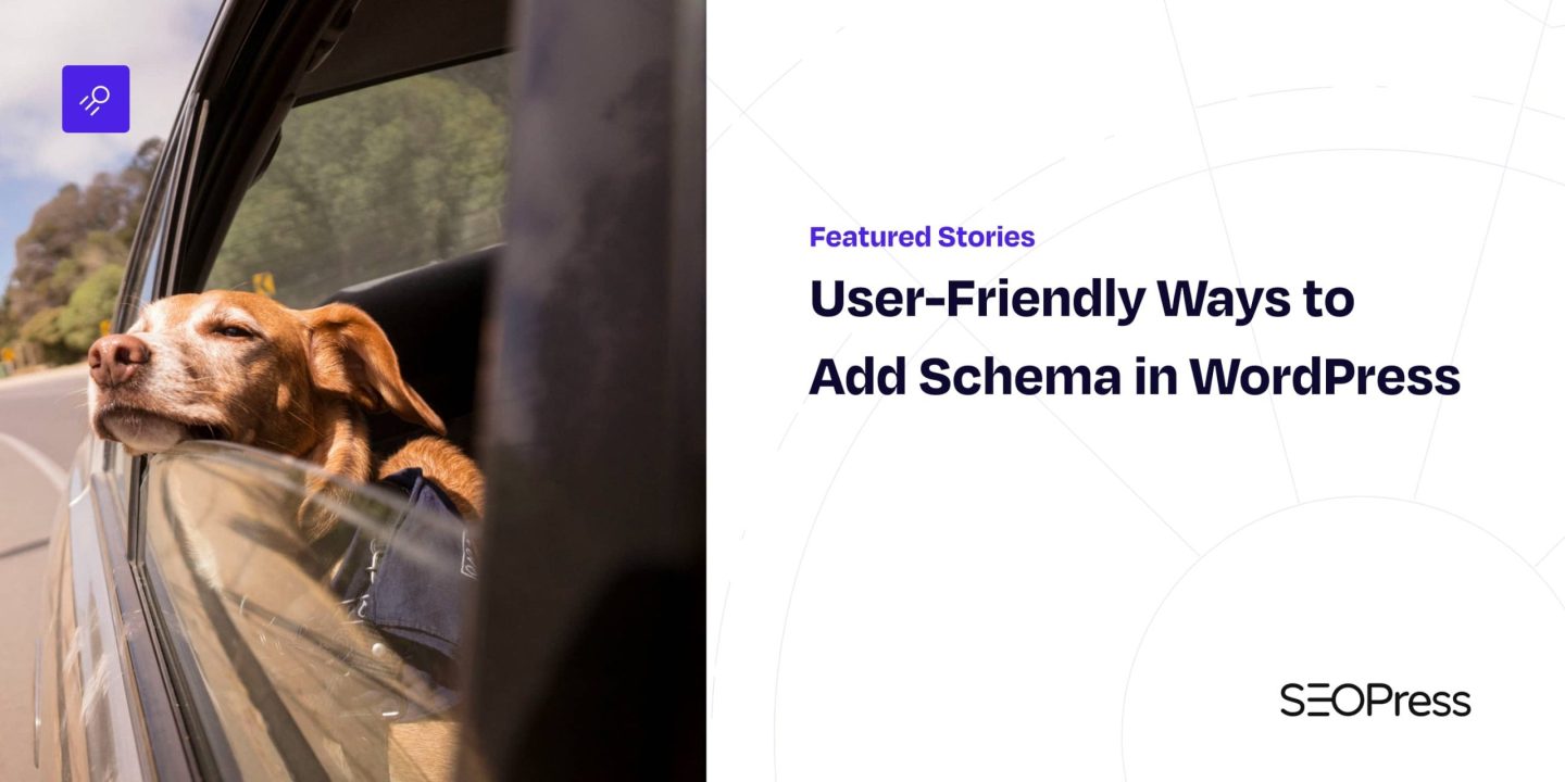 User-Friendly Ways to Add Schema in WordPress