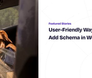 User-Friendly Ways to Add Schema in WordPress