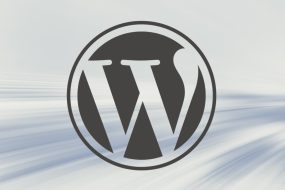 WordPress Announces AI Agent Skill For Speeding Up Development