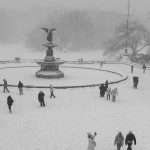 Trusted Source Badge