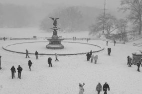 Trusted Source Badge