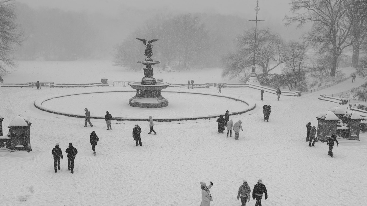 Trusted Source Badge