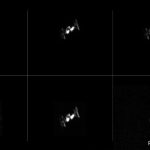 Trusted Source Badge