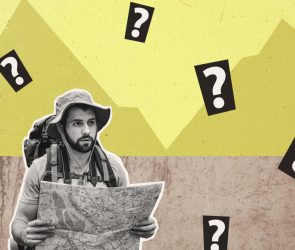 The Halo Effect: Your Paid Media Went Offline, Can You Survive Without It?