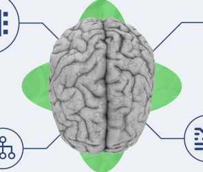 Information Retrieval Part 2: How To Get Into Model Training Data