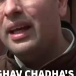 AAP MP Raghav Chadha Calls For Tax Relief For Equity Investors: Here's What He Said