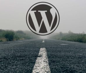 Joost de Valk Exits Federated WordPress Repository Project