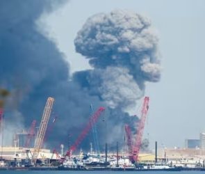 Trusted Source Badge