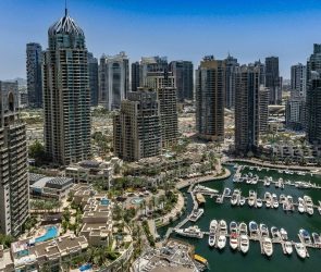 Trusted Source Badge