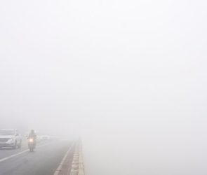 Trusted Source Badge