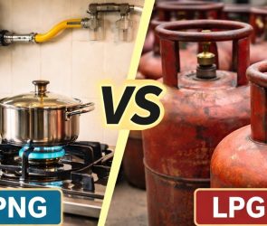 Trusted Source Badge