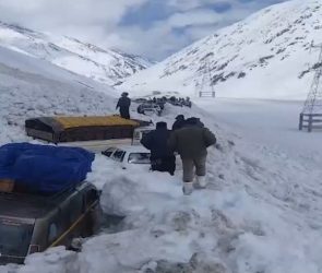 Trusted Source Badge