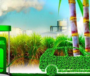 Trusted Source Badge