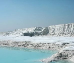 Trusted Source Badge