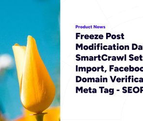 Freeze Post Modification Date, SmartCrawl Settings Import, Facebook Domain Verification Meta Tag – SEOPress 9.6