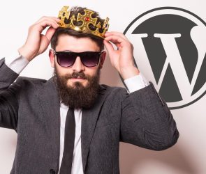 Why Open Source Projects Are Run By Benevolent Dictators For Life