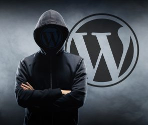 Seraphinite Accelerator WordPress Plugin Vulnerabilities Affect 60K Sites