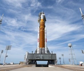 In exports, Maruti Suzuki recorded 34% year-on-year growth in volumes at 4.47 lakh vehicles for the financial year 2025-26.