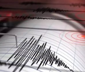 Trusted Source Badge