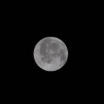 Trusted Source Badge