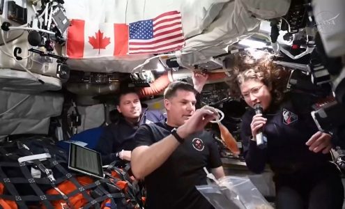 Trusted Source Badge