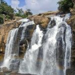 Trusted Source Badge