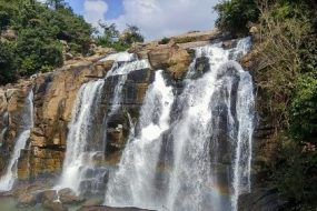 Trusted Source Badge