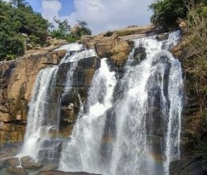 Trusted Source Badge