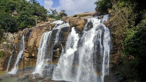 Trusted Source Badge