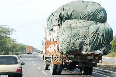 Trusted Source Badge