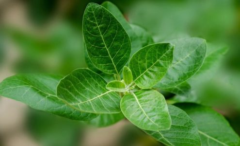 Trusted Source Badge