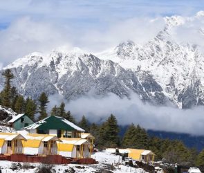 Trusted Source Badge