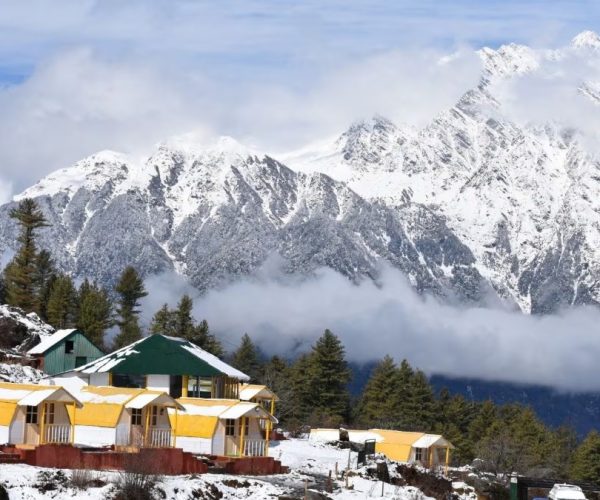 Trusted Source Badge