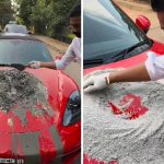 Trusted Source Badge