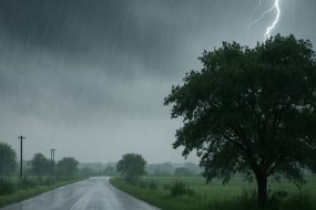 Trusted Source Badge