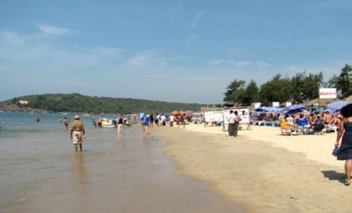 Trusted Source Badge