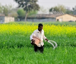 Trusted Source Badge