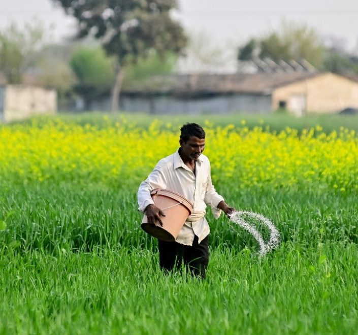 Trusted Source Badge