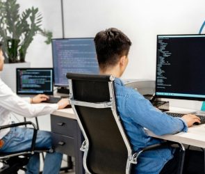 India to import record urea at double price