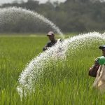 Trusted Source Badge