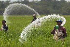 Trusted Source Badge