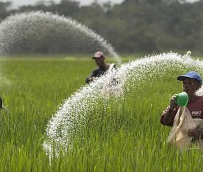 Trusted Source Badge